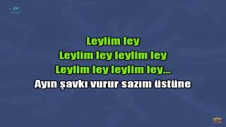 Aliriza Arslan Essen Ibrahim Tatlises 2022 Leylim Ley 2022