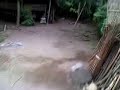 Sungai images Sungai