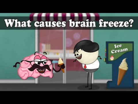 why we get a brain freeze essay why we get a brain freeze essay