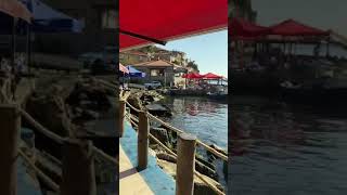 Sahi̇l Kenarinda Kahvalti Keyfi Çeki̇m Instagram