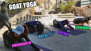 Goat Yoga With Amouranth, Esfand, Botez Sisters And Codemiko Mar 11, 2022