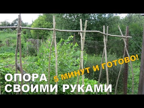Как сделать опору для фасоли Как сделать опору для фасоли