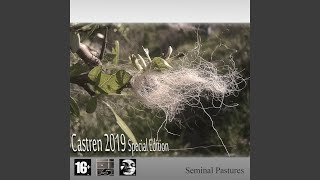Castren Special Edition