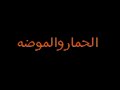 حمار شيك