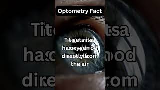 The Reason Why The Cornea Is Transparent
