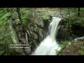 Burden Falls - Shawnee National Forest - Illinois Waterfalls