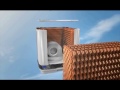 ECO Sistem Arabic