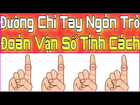 Xem ĐƯỜNG CHỈ TAY NGÓN TRỎ Đoán Vận Mệnh Tính Cách Một Người. Xem Bói Đường Chỉ Tay Ngón Trỏ.
