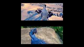Happy Feet 2006 And Rio 2011 Playing All At Once