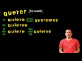 01043 Spanish Lesson - Present tense: querer