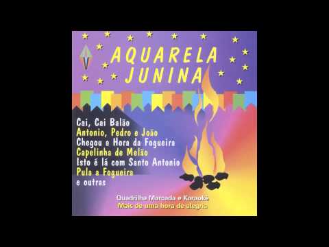Pout Pourri de Quadrilhas Marcadas [Instrumental] Video
