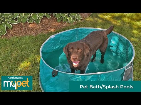 North States MyPet 48" Large Pet Bath/Splash Pool North States MyPet 48" Large Pet Bath/Splash Pool