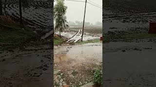 Rimjhim Hai Samsung Hot Video