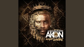 Watch Akon We On It Feat Yo Gotti video