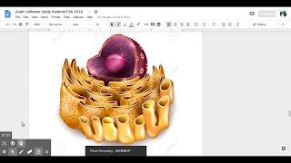Suki Toons Life Science in a Nutshell Study Material zzg