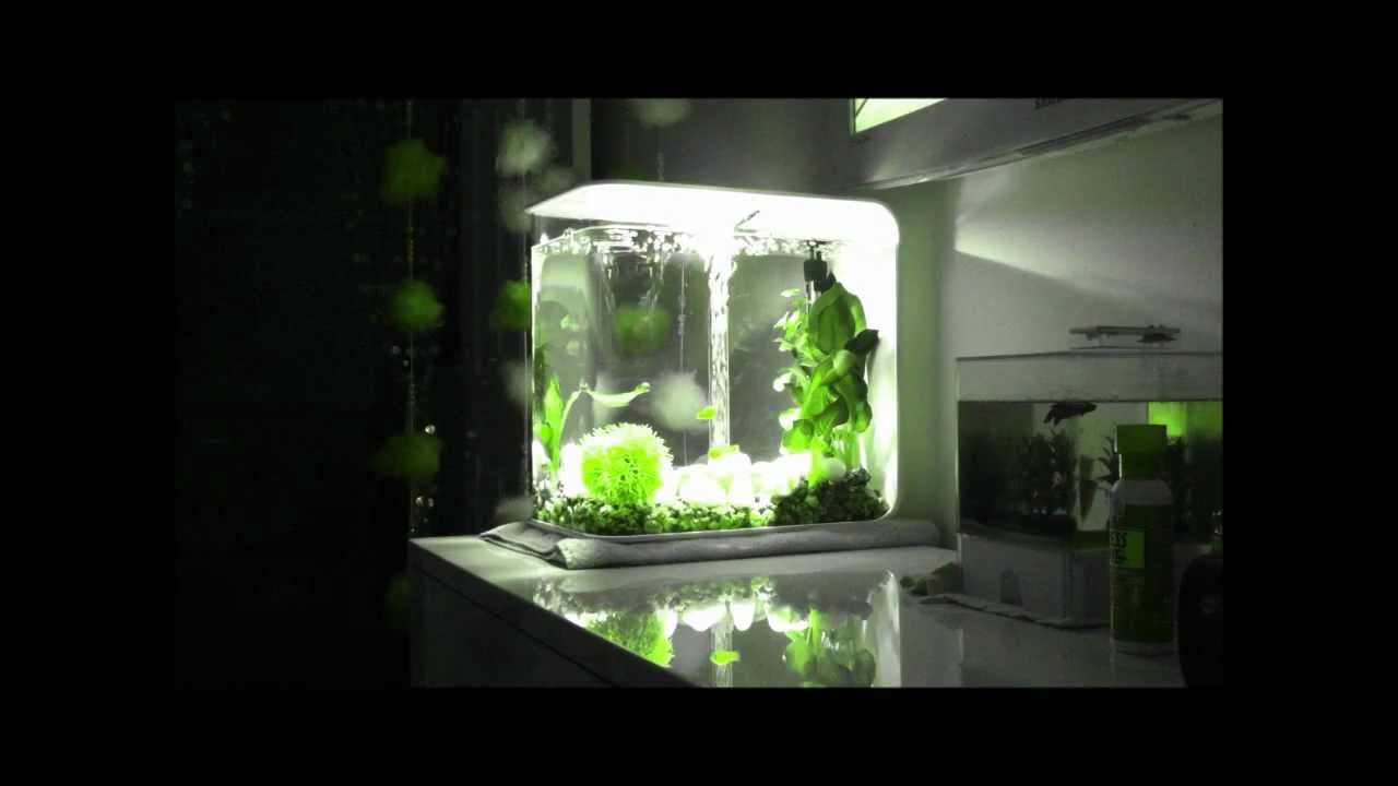 BiOrb Flow - YouTube