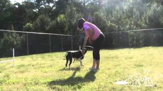 Meet Spca Long Timer Zipper