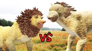 African Lion Vs American Lion Spore