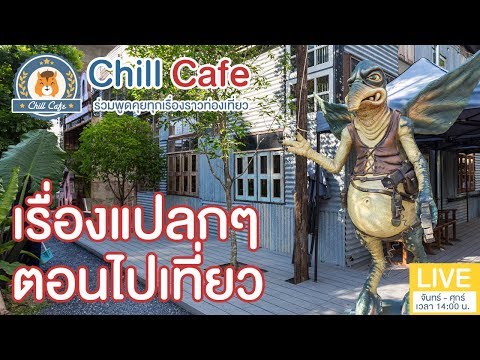 Chill Cafe : มาร่วมคุยถึงเรื่อง... “ประสบการณ์สุดแปลกในการเที่ยว”