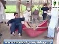 Funny S 2015 Funny Fails Pakistan Funny Pathans New Pakistani ...