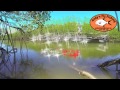 Andy’s Fishing Channel: Australian Fishing Adventures” Trailer2