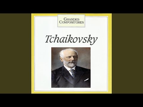 Violin Concerto in D Major, Op. 35: III. Finale. Allegro vivacissimo