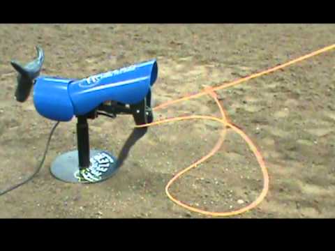 Team Roping Dummies