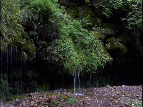 EK BAAR MUSKRA DO MUNI BEGUM.wmv