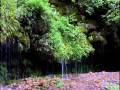 Download EK BAAR MUSKRA DO MUNI BEGUM.wmv MP3 song and Music Video