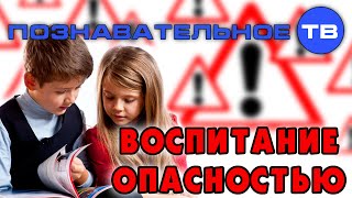 Воспитание опасностью (Познавательное ТВ, Михаил Величко)