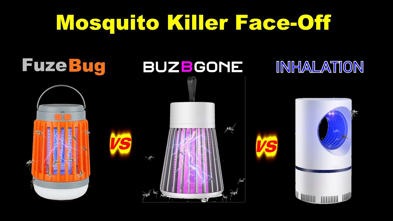 The Fly Zapper May Well Kill Flies Faster And Practically The Fly Zapper May Well Kill Flies Faster And Practically