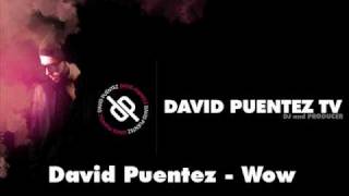 David Puentez - Wow (Original Mix)