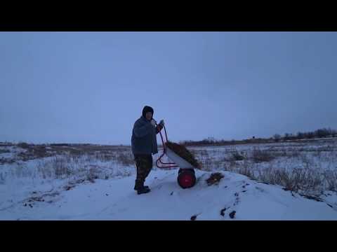 ✅Будни деревенские // Грызуны // Гуси // Тачка ✅Будни деревенские // Грызуны // Гуси // Тачка