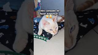 Gildo Cansado