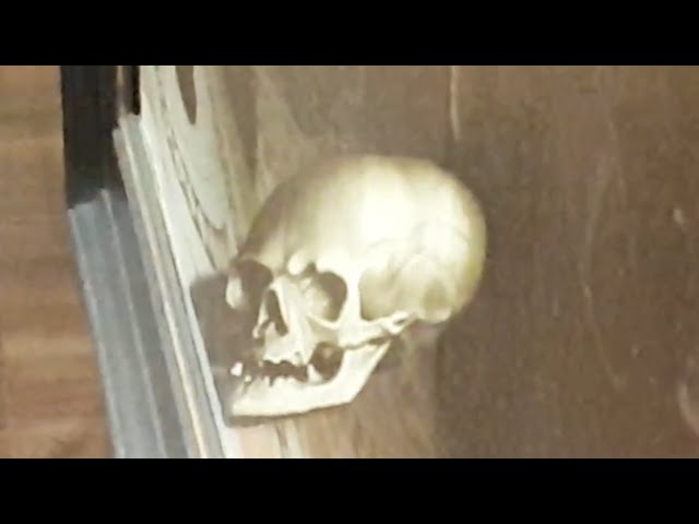 Old 16th Century Painting Has Skull Illusion Hidden - Video