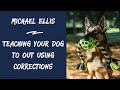 Michael Ellis - Teaching Your Dog to Out Using Corrections (The Power of Playing Tug with Your Dog)