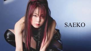 Watch Saeko Seek The Light video