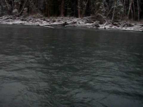 steelhead fishing on the hoh