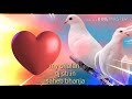 Best Old Dj Remix Song 2018 _ Kabutri Bole Kabutar Se ( Hard Bass DJ sb mix jiagodi(menakamobile.in)