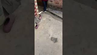 Grandma Steals Ipad Sequel