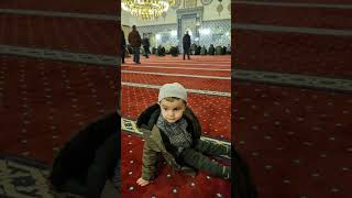 Cansiniz Canlara Cennet Gülleri̇