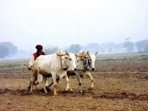 Engineer Mohmand--pashto ghazal--Ghani Khan--Badshahi da jahan...