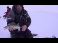 Sunset Walleye on Lake of the Woods - In-Depth Outdoors TV Season 8, Episode 5