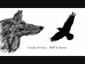 Sonata Arctica - Wolf & Raven