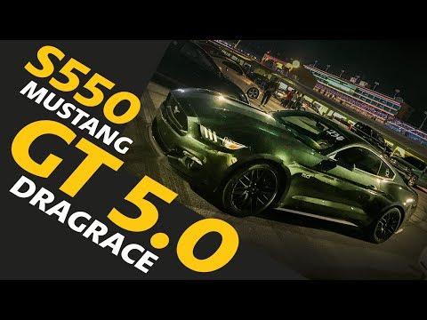 DRAG RACING the Mustang GT 5.0 S550 // Miami Speedway // OOH BUDDY!!