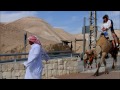 Camel Ride In Israel Camel Poops While Posing For Picture images Camel Ride In Israel Camel Poops While Posing For Picture