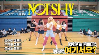 [HERE?] ITZY - Not Shy (A Team ver.) | DANCE COVER