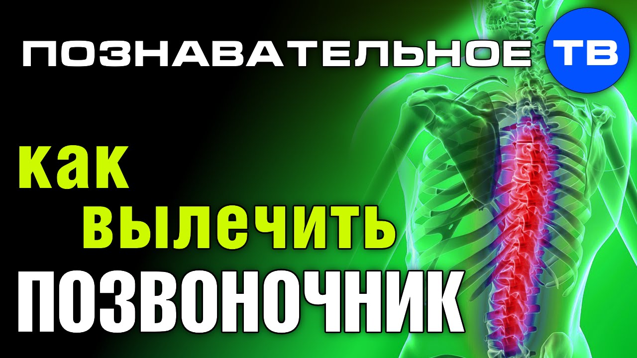Разминка позвоночника часть Разминка позвоночника часть