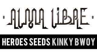Video Hero Seeds Kinky Bwoy