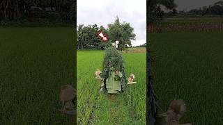 Techniques For Flying A Buck Bird